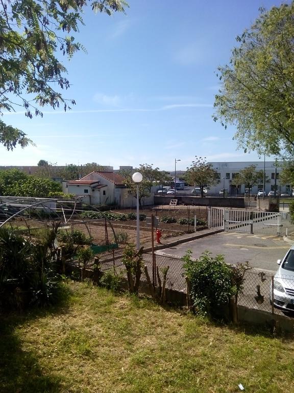 Grand Studio Proche Transport Montpellier Exterior foto